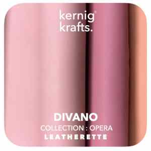 best furniture factory and shop in jodhpur (48)