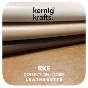 best furniture factory and shop in jodhpur (51)